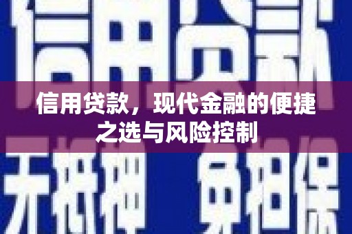西岗信用贷款，现代金融的便捷之选与风险控制