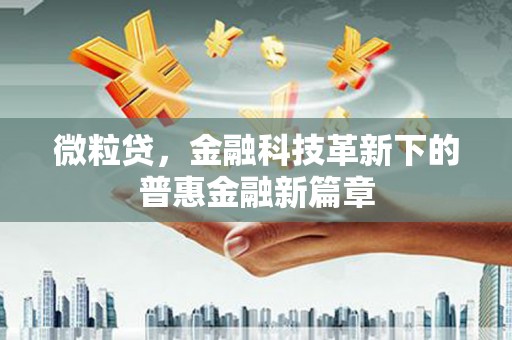 西岗微粒贷，金融科技革新下的普惠金融新篇章
