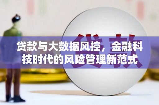 西岗贷款与大数据风控，金融科技时代的风险管理新范式