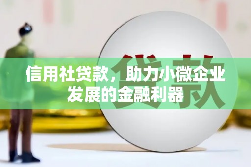 西岗信用社贷款，助力小微企业发展的金融利器