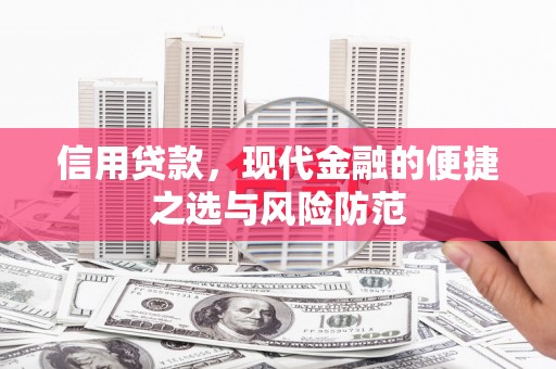 西岗信用贷款，现代金融的便捷之选与风险防范