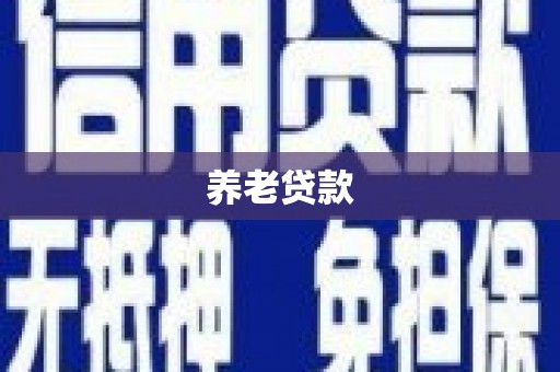 西岗养老贷款