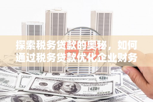 西岗探索税务贷款的奥秘，如何通过税务贷款优化企业财务
