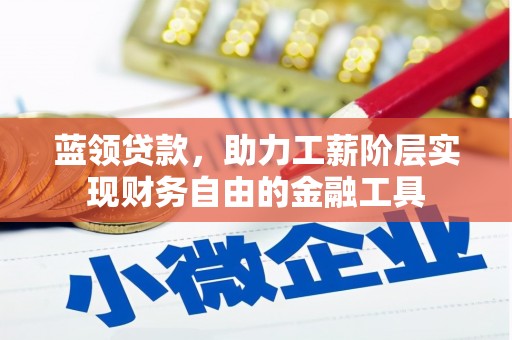 西岗蓝领贷款，助力工薪阶层实现财务自由的金融工具