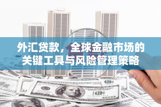 西岗外汇贷款，全球金融市场的关键工具与风险管理策略