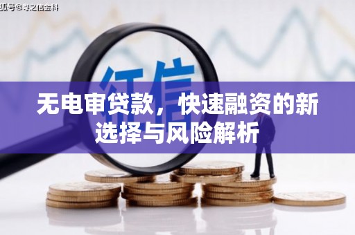西岗无电审贷款，快速融资的新选择与风险解析