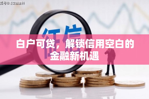 西岗白户可贷，解锁信用空白的金融新机遇