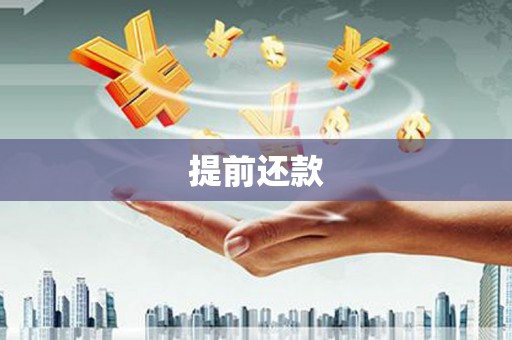 西岗提前还款