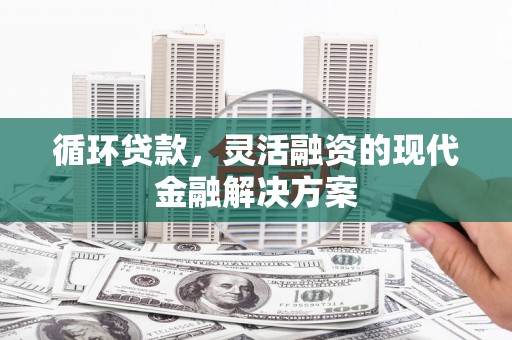 西岗循环贷款，灵活融资的现代金融解决方案