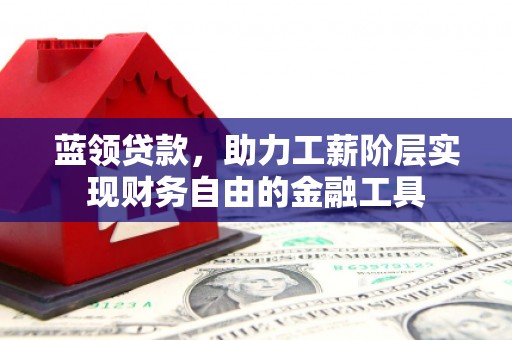 西岗蓝领贷款，助力工薪阶层实现财务自由的金融工具