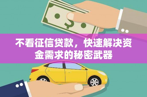 西岗不看征信贷款，快速解决资金需求的秘密武器
