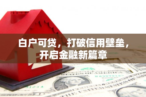 西岗白户可贷，打破信用壁垒，开启金融新篇章