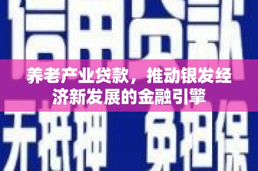 西岗养老产业贷款，推动银发经济新发展的金融引擎