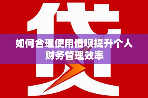 西岗如何合理使用借呗提升个人财务管理效率