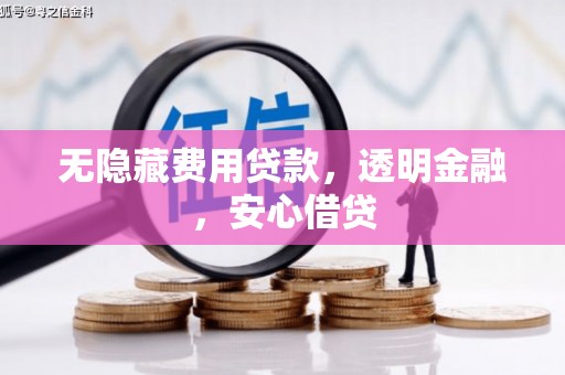 西岗无隐藏费用贷款，透明金融，安心借贷
