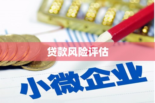 西岗贷款风险评估