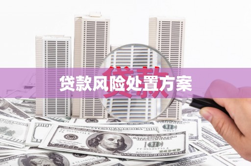 西岗贷款风险处置方案