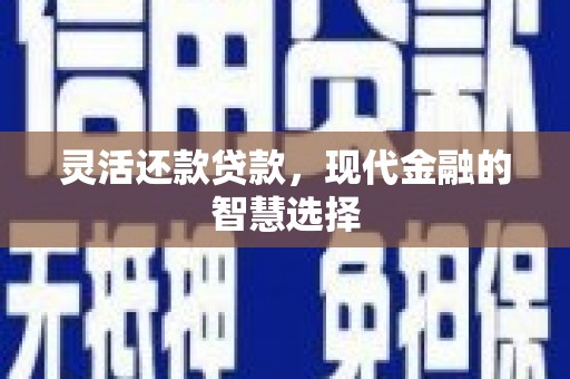 西岗灵活还款贷款，现代金融的智慧选择
