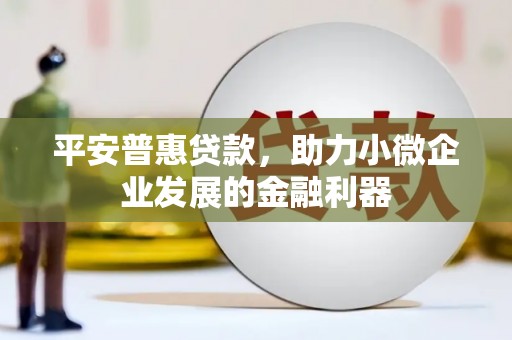 西岗平安普惠贷款，助力小微企业发展的金融利器