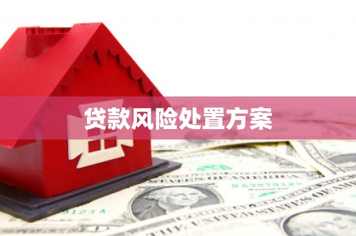 西岗贷款风险处置方案