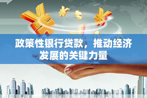 西岗政策性银行贷款，推动经济发展的关键力量