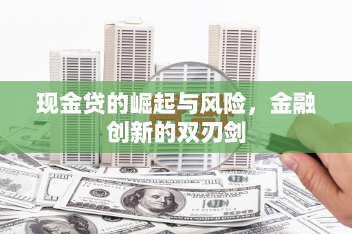 西岗现金贷的崛起与风险，金融创新的双刃剑