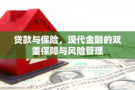 西岗贷款与保险，现代金融的双重保障与风险管理