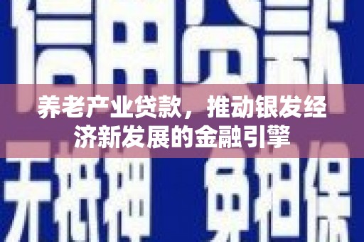 西岗养老产业贷款，推动银发经济新发展的金融引擎