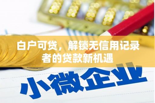 西岗白户可贷，解锁无信用记录者的贷款新机遇