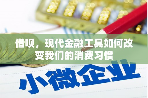 西岗借呗，现代金融工具如何改变我们的消费习惯