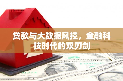 西岗贷款与大数据风控，金融科技时代的双刃剑