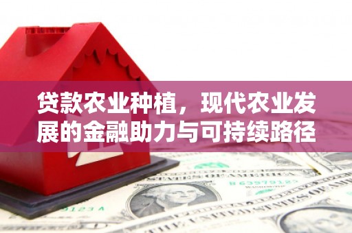 西岗贷款农业种植，现代农业发展的金融助力与可持续路径