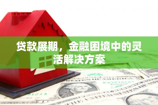 西岗贷款展期，金融困境中的灵活解决方案