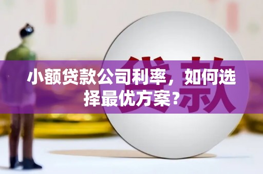 西岗小额贷款公司利率，如何选择最优方案？