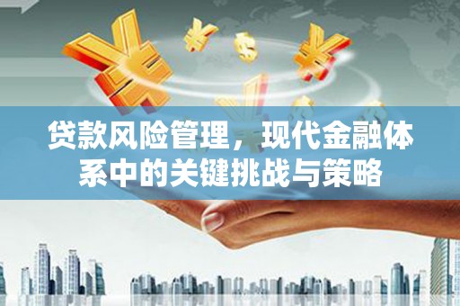 西岗贷款风险管理，现代金融体系中的关键挑战与策略