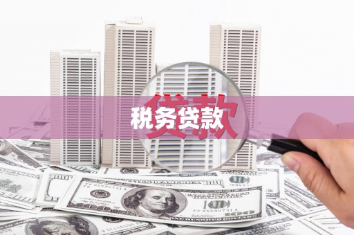 西岗税务贷款