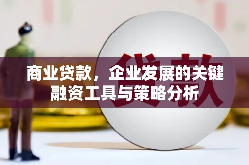西岗商业贷款，企业发展的关键融资工具与策略分析