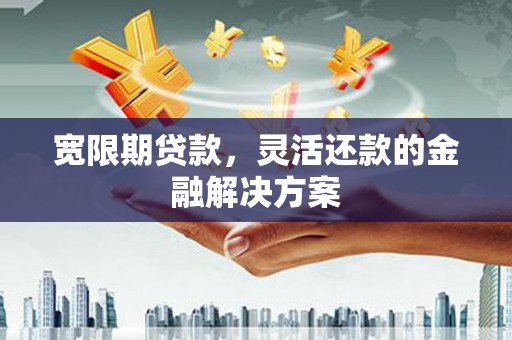 西岗宽限期贷款，灵活还款的金融解决方案