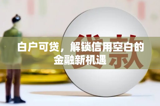 西岗白户可贷，解锁信用空白的金融新机遇