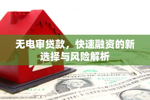 西岗无电审贷款，快速融资的新选择与风险解析