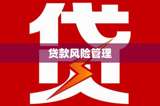 西岗贷款风险管理