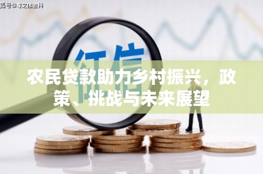 西岗农民贷款助力乡村振兴，政策、挑战与未来展望