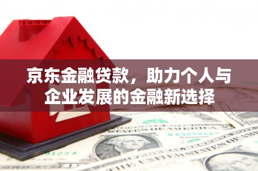 西岗京东金融贷款，助力个人与企业发展的金融新选择