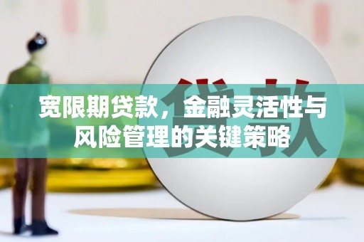 西岗宽限期贷款，金融灵活性与风险管理的关键策略