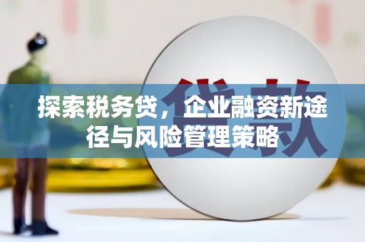西岗探索税务贷，企业融资新途径与风险管理策略