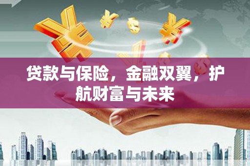 西岗贷款与保险，金融双翼，护航财富与未来