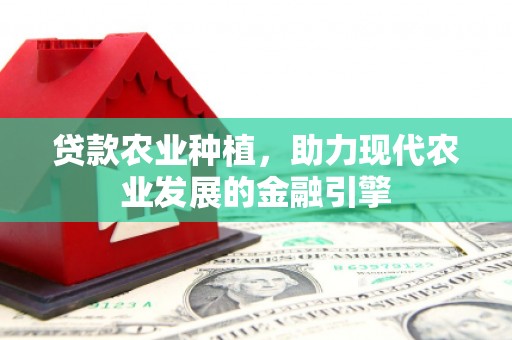 西岗贷款农业种植，助力现代农业发展的金融引擎