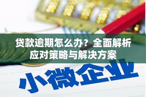 西岗贷款逾期怎么办？全面解析应对策略与解决方案