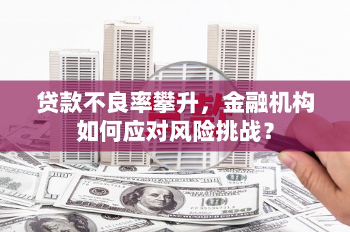 西岗贷款不良率攀升，金融机构如何应对风险挑战？