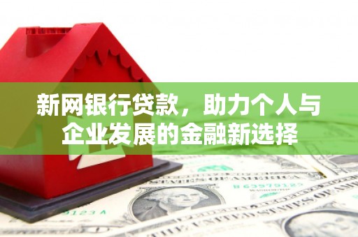西岗新网银行贷款，助力个人与企业发展的金融新选择